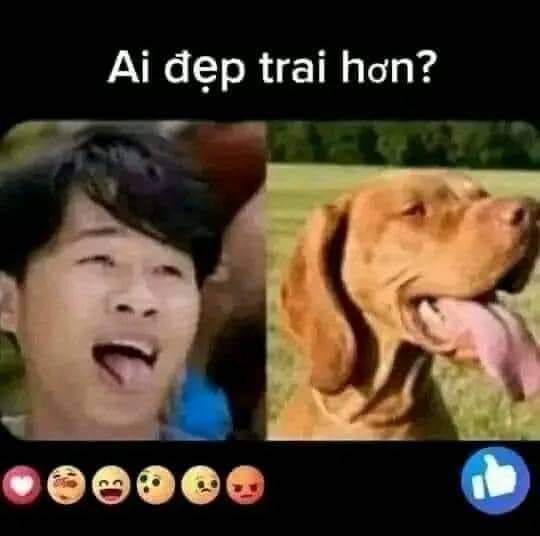 Jack 5 củ meme khiến ai cũng bật cười với lối chế giễu sáng tạo