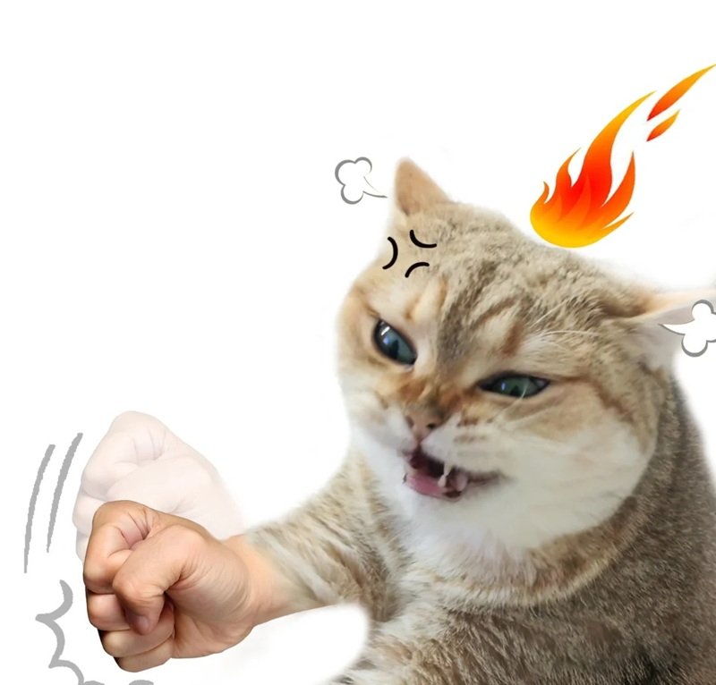 Hình meme tức giận cực kỳ sinh động