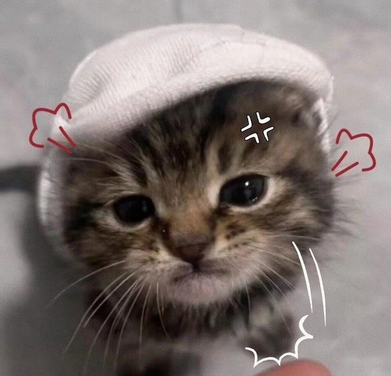 Meme tức giận chất lượng cao với hình ảnh sắc nét