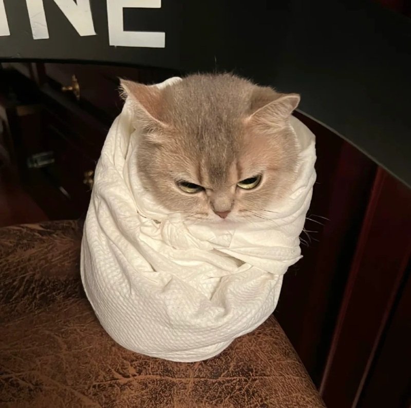 Meme nổi giận với biểu cảm gây cười