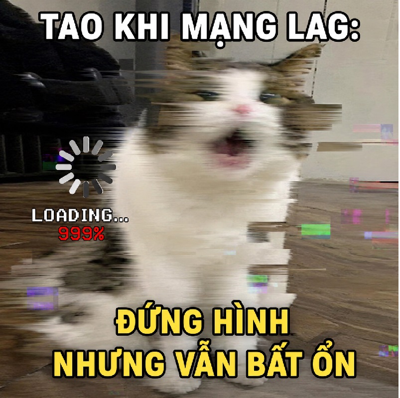 Một chiếc meme mèo loading cho ngày đầu óc nghỉ phép ngang.
