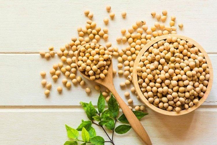 Có phải đậu nành thực sự ảnh hưởng đến nguy cơ ung thư vú?