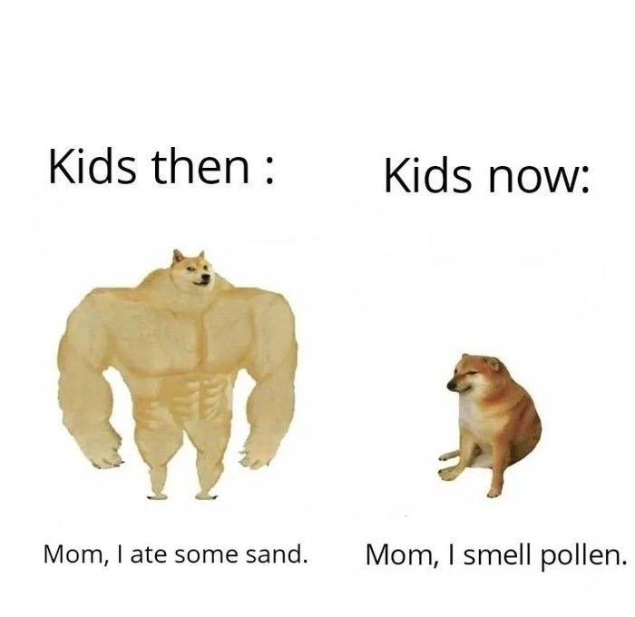 meme cheems là gì ảnh 5