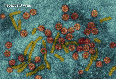 Virus viêm gan B lây truyền qua tiếp xúc trực tiếp với máu và các dịch cơ thể của người nhiễm bệnh.
