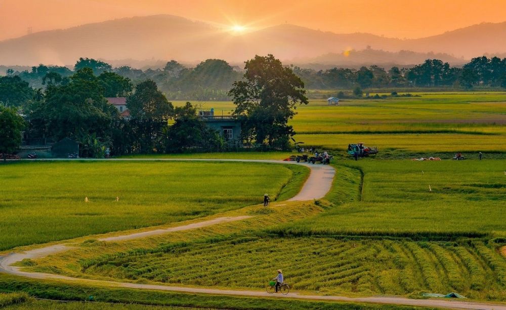 Cảnh đồng quê khi mặt trời vừa nhô khỏi rạng tre xanh mướt