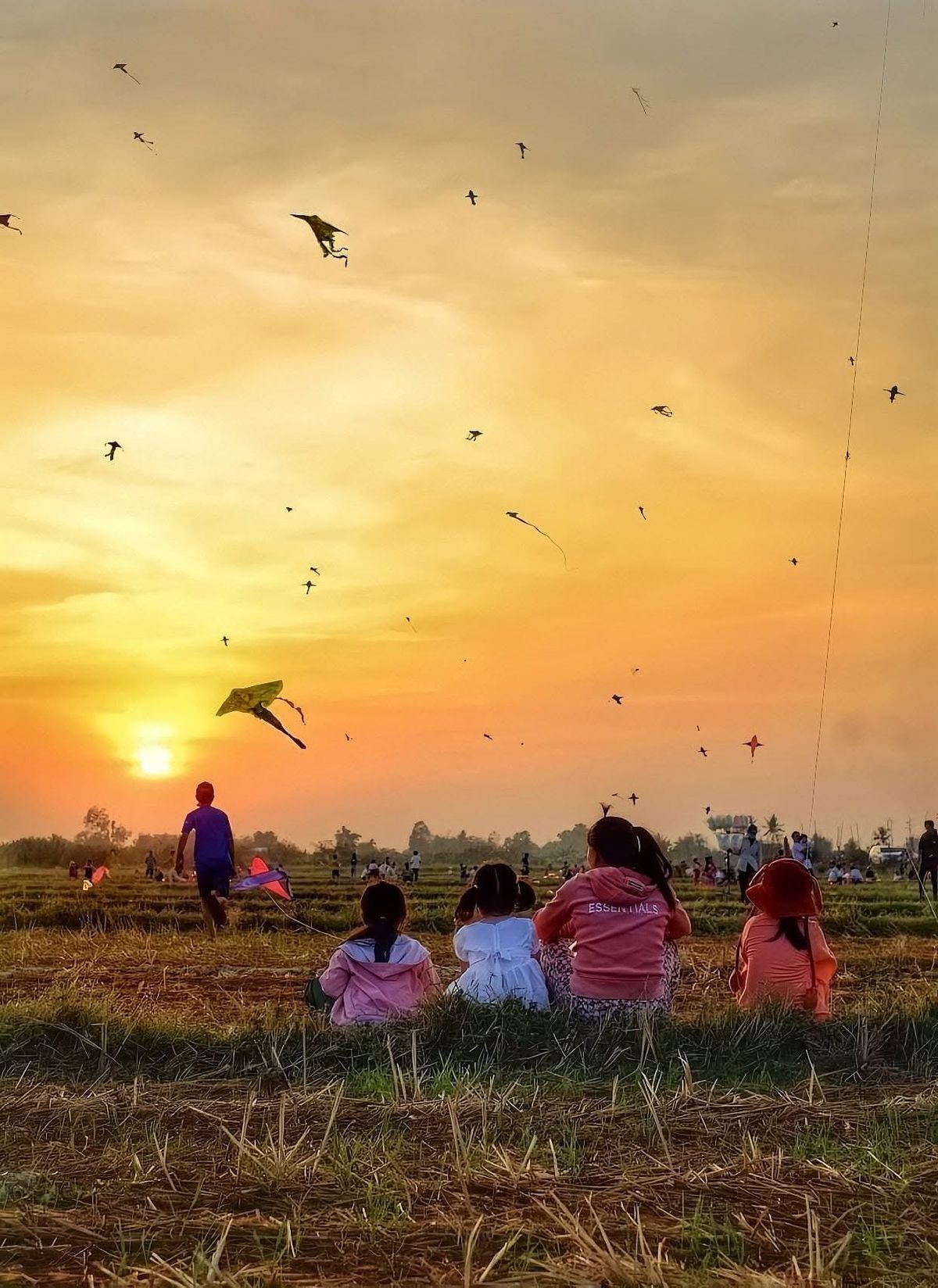 Hình ảnh đồng quê đẹp nhất là khi hoàng hôn nhuộm trời đỏ
