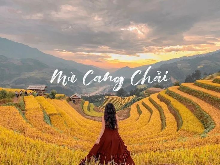 Cảnh quê yên bình nhìn từ trên cao là ruộng bậc thang uốn lượn