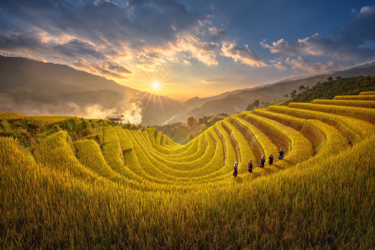 Hình ảnh làng quê yê bình qua ánh nắng sớm trên bậc thang