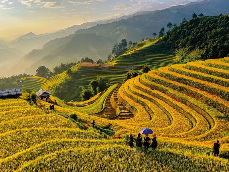 Hình ảnh bình yên ở quê khi người dân gieo mạ trên bậc thang