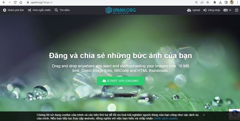 Web up ảnh lấy link:Upanh.org