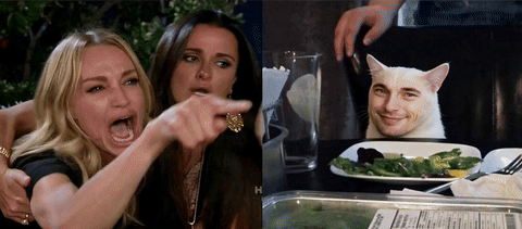 Woman yelling at a cat với khuôn mặt của một người đàn ông mỉm cười