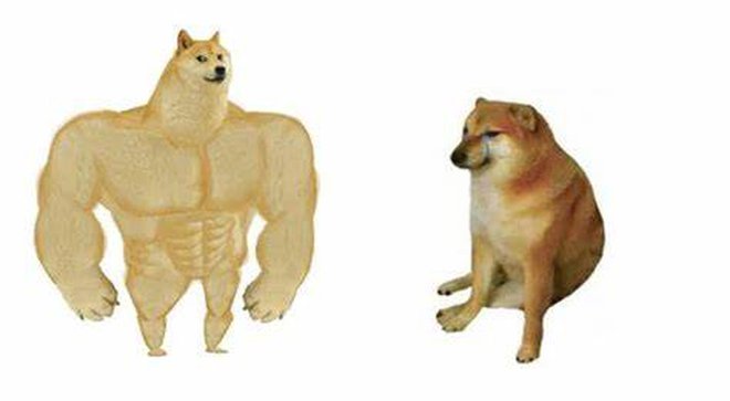 Chuyện về chú chó được chế meme nhiều nhất mạng xã hội: Xuất ...
