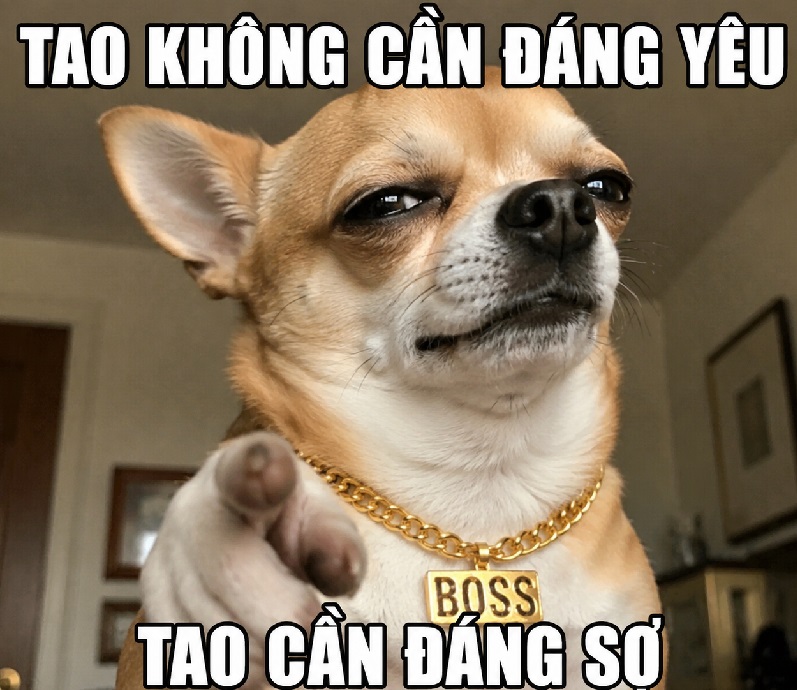 Nhỏ mà có võ, đúng là huyền thoại meme của mọi thời đại.