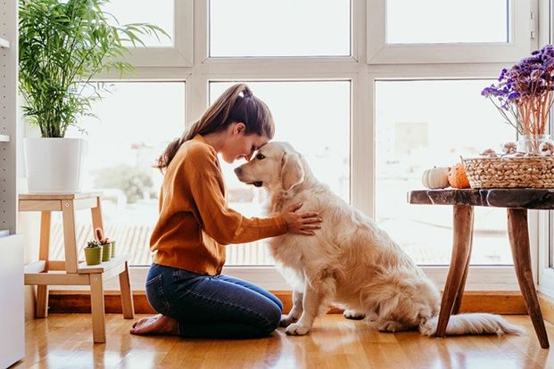 30 Cách Tạo Dáng Chụp Ảnh Đẹp Cho Nàng Đẹp Cực Chất