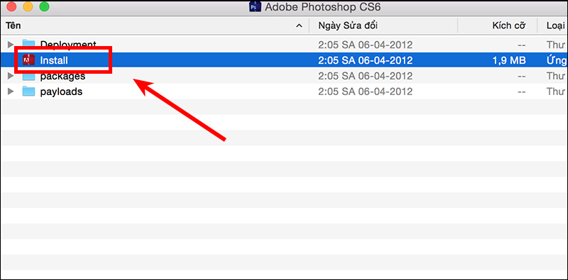 Cửa sổ của Adobe sẽ hiển thị, nhấn vào Start free trial để chạy ứng dụng