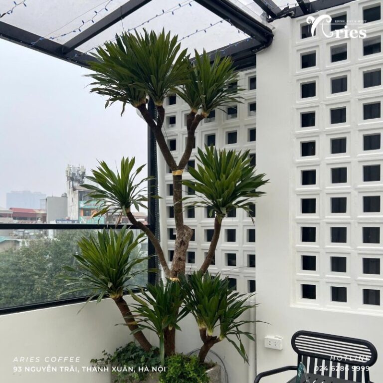 Maison de Tet Decor ( Nguồn ảnh: Sưu tầm )