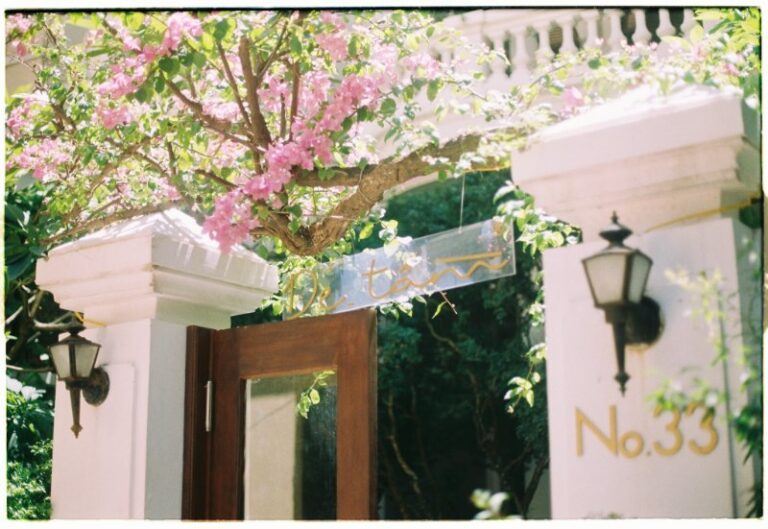 Dawnbird Cafe ( Nguồn ảnh: Sưu tầm )