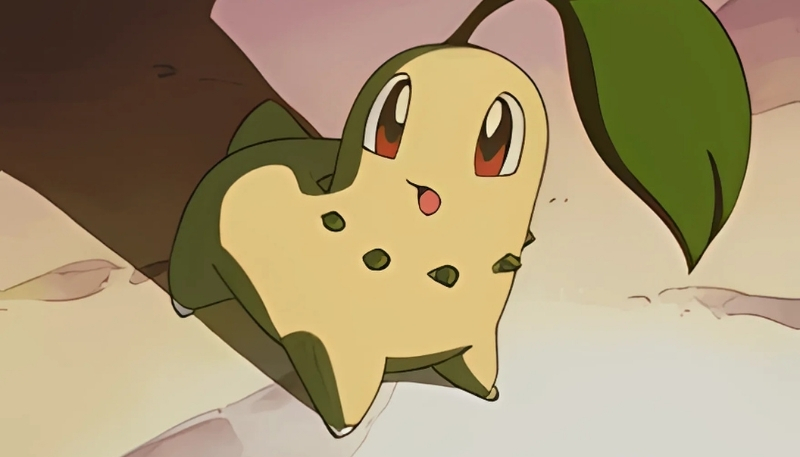 hình ảnh pokemon tiến hóa