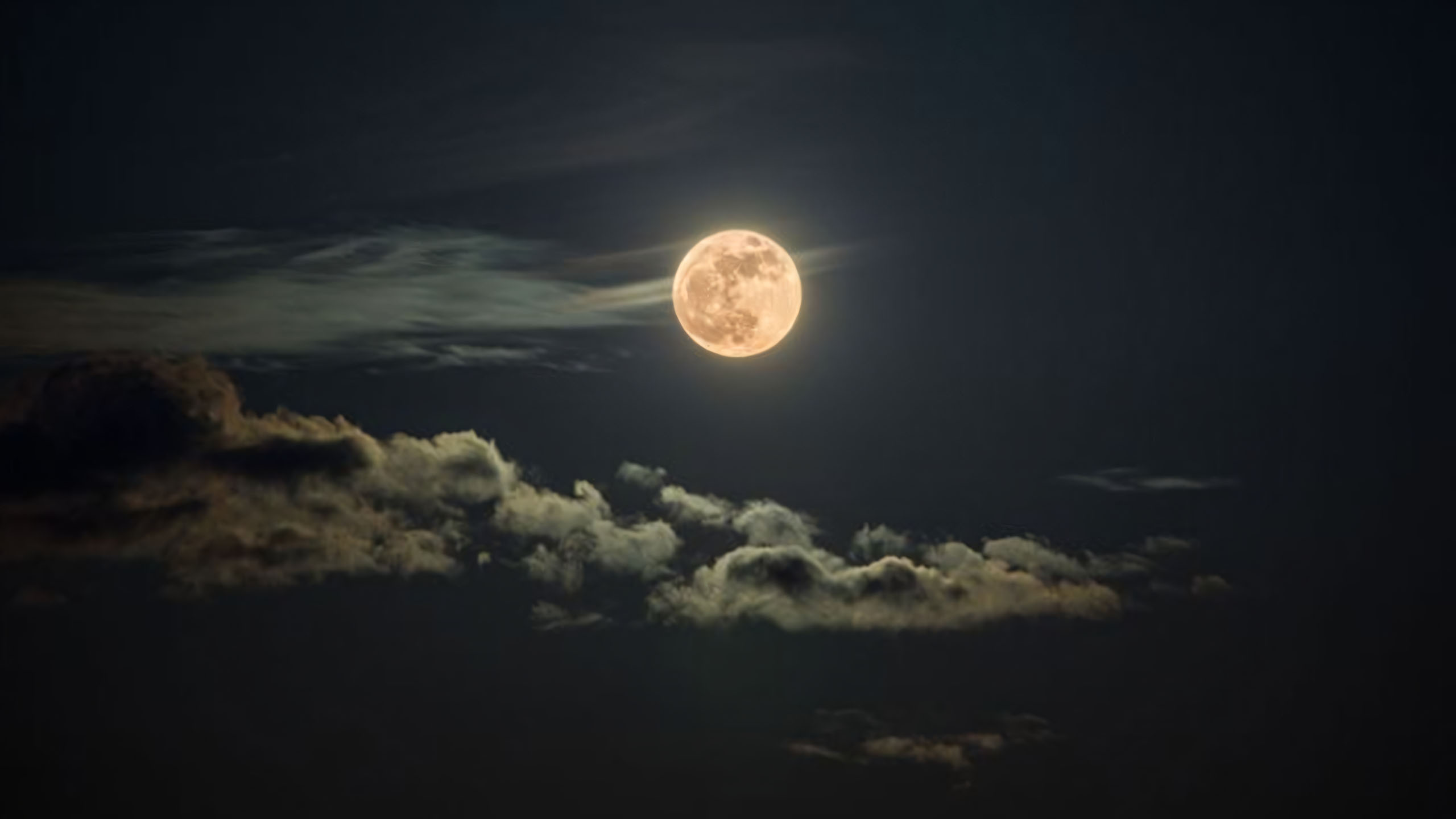 hinh anh trang ram 2560px 1440px 2k 9