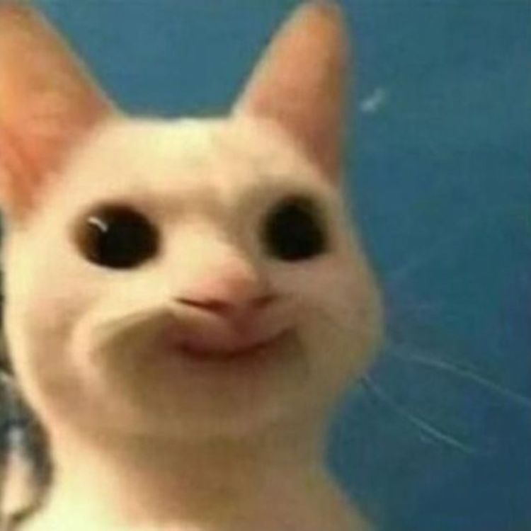 Meme mèo bựa cười
