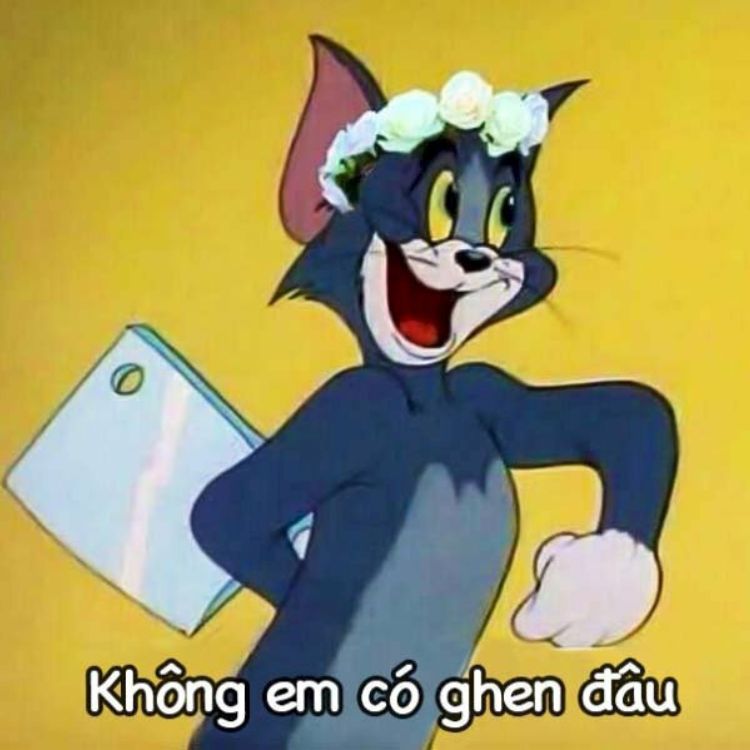 Meme mèo cầm dao