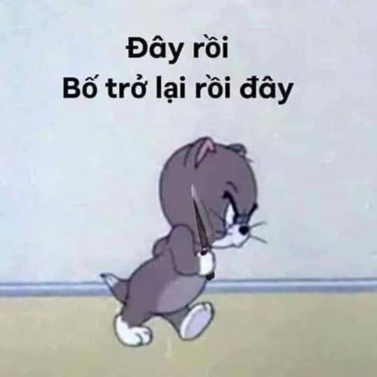 Meme mèo cầm dao