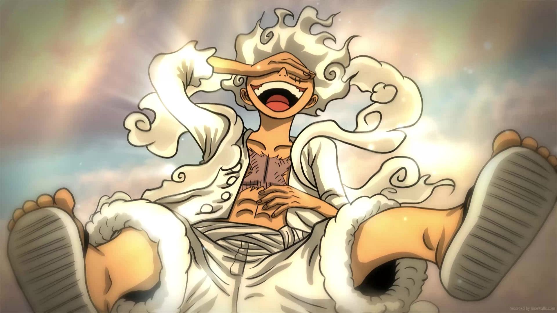 Ảnh luffy
