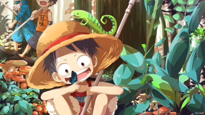 Ảnh luffy
