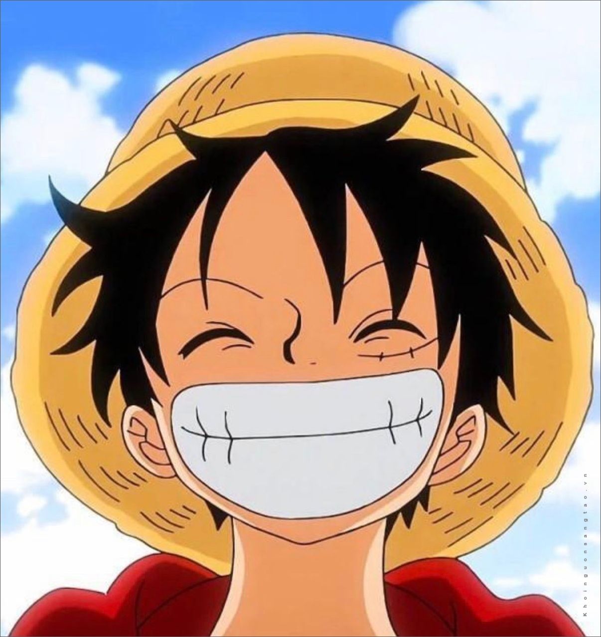 Ảnh luffy