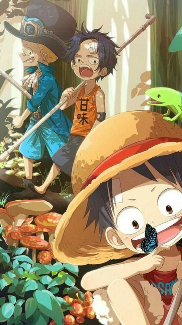 Ảnh luffy