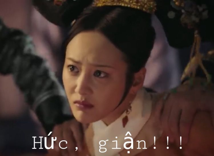 Cùng du ngoạn meme như ý truyện đời sống