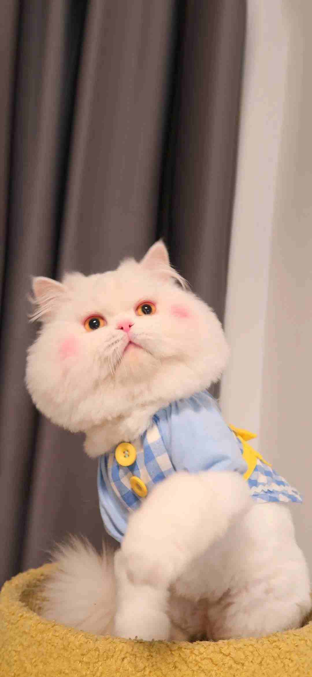 Khi ai đó nói ăn ít thôi, còn mình giả vờ không nghe.