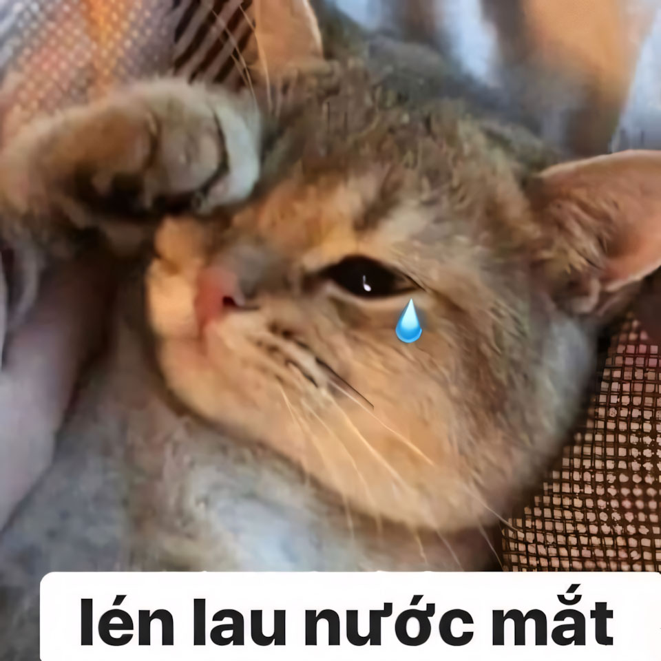 khoc meme hinh anh khoc cute 960px 960px avatar 1