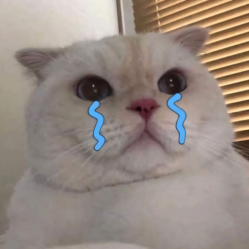 khoc meme hinh anh khoc cute 960px 960px avatar 2