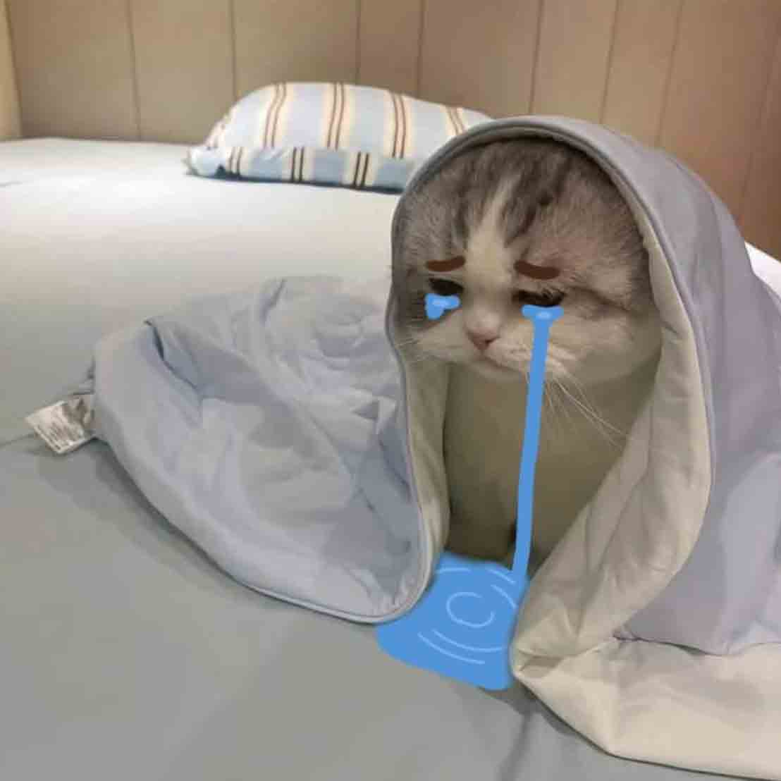 khoc meme hinh anh khoc cute 960px 960px avatar 10