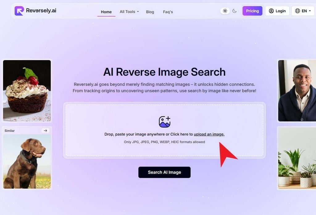 Tìm kiếm hình ảnh bằng Reversely.ai - GEARVN