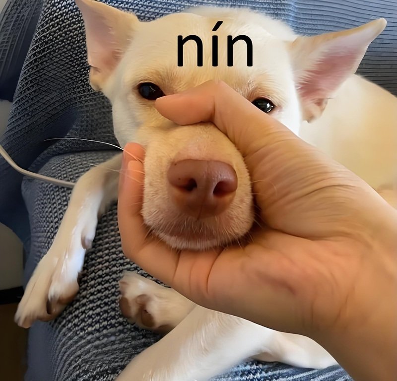 Ảnh trai đẹp Việt Nam đeo kính